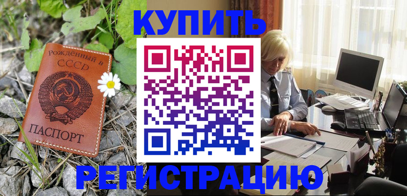 временная регистрация поиск в Каменке